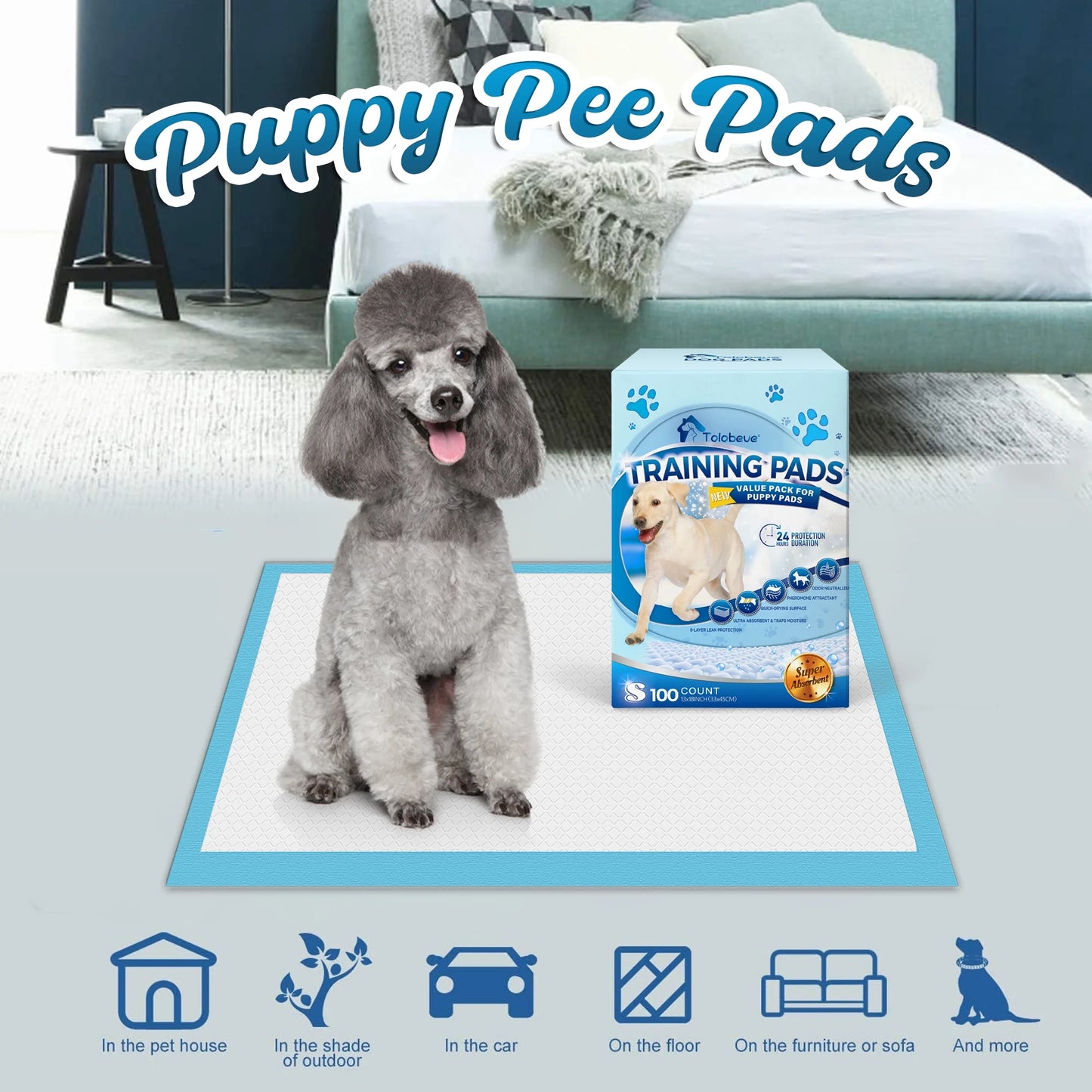 Disposable Dog and Puppy Training Pads, Size S, 13x18 Inches, 100 Count