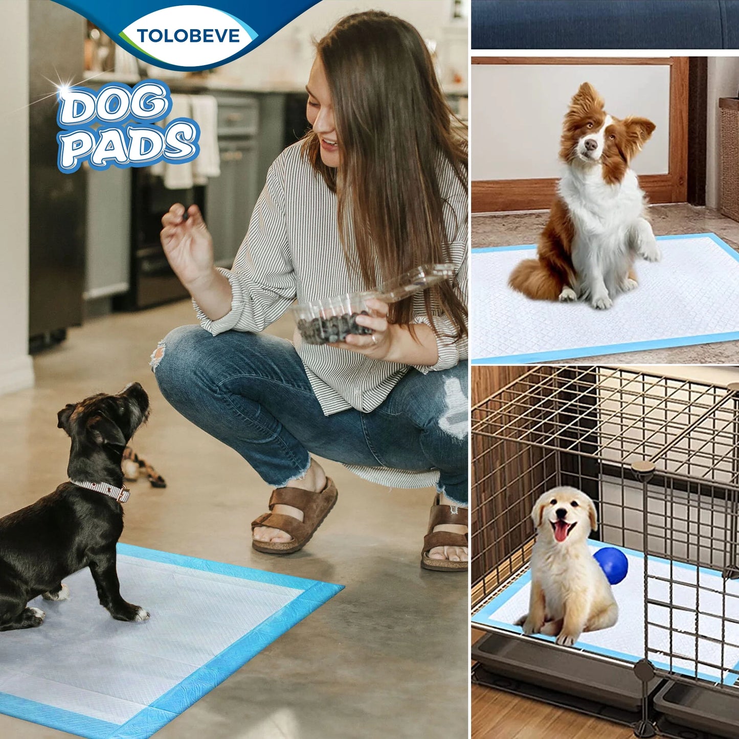 Disposable Dog and Puppy Training Pads, Size S, 13x18 Inches, 100 Count