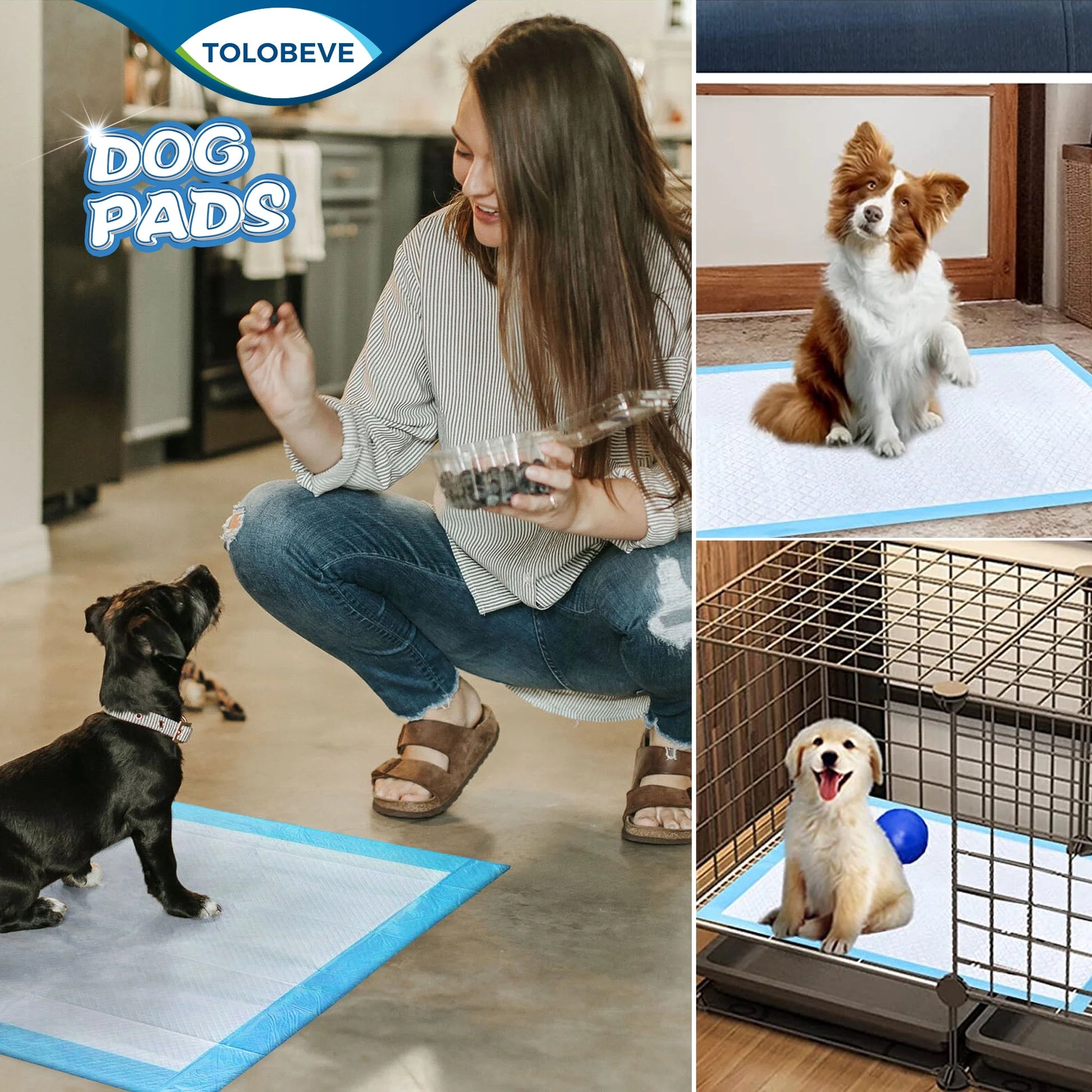 Disposable Dog and Puppy Training Pads, Size S, 13x18 Inches, 100 Count