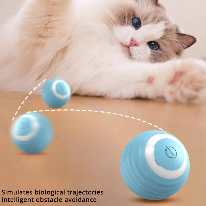 USB Rechargeable Interactive Cat Ball - Automatic Indoor Hunting Toy with Erratic Motion for Engaging Play