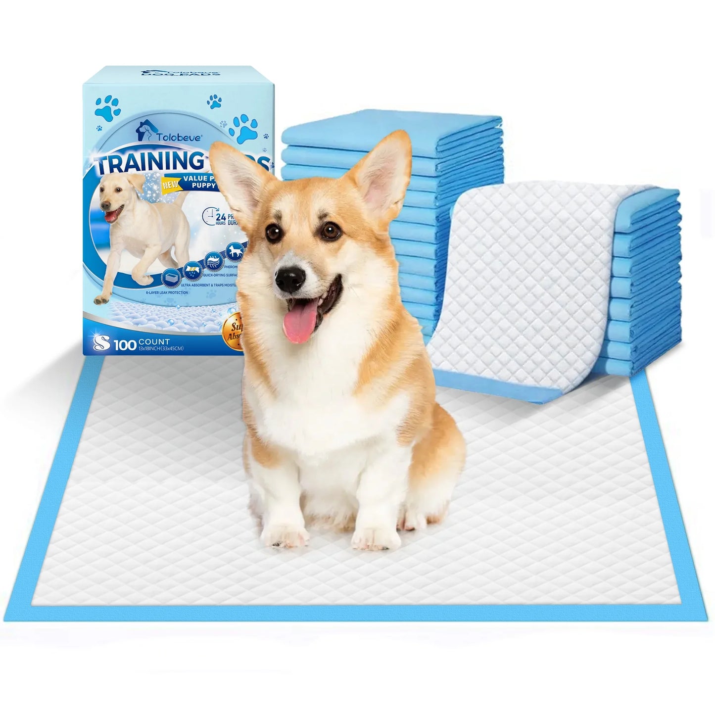 Disposable Dog and Puppy Training Pads, Size S, 13x18 Inches, 100 Count